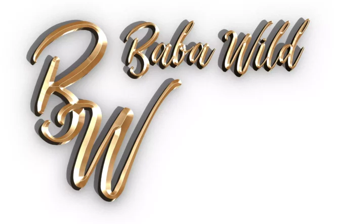 Baba Wild logo